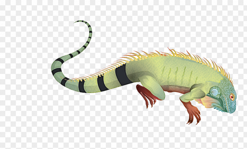 Reptile Animal Figure Scaled Lizard Iguana PNG