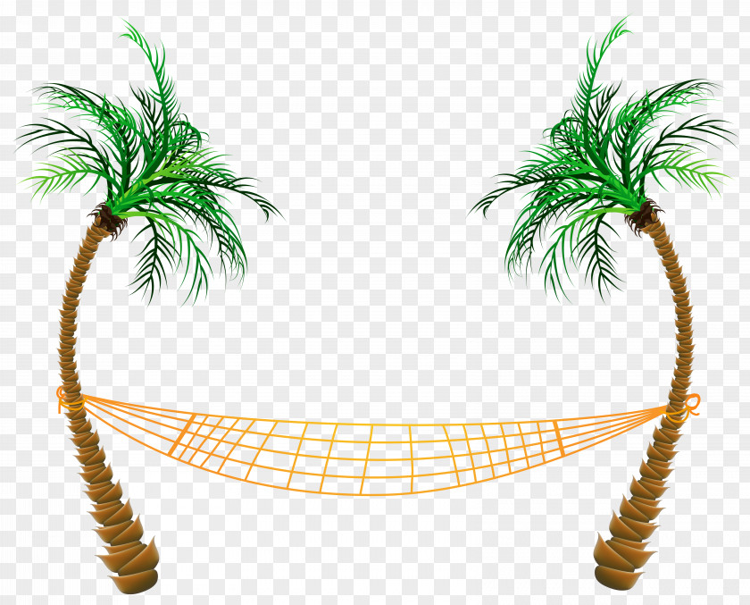 Transparent Palm Beach Hammock Clipart Clip Art PNG