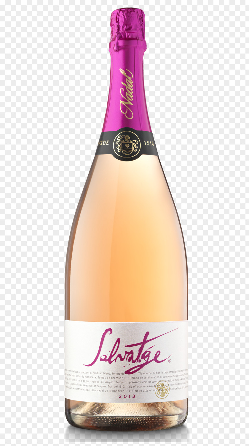Champagne Cava DO Nadal Color Yellow PNG