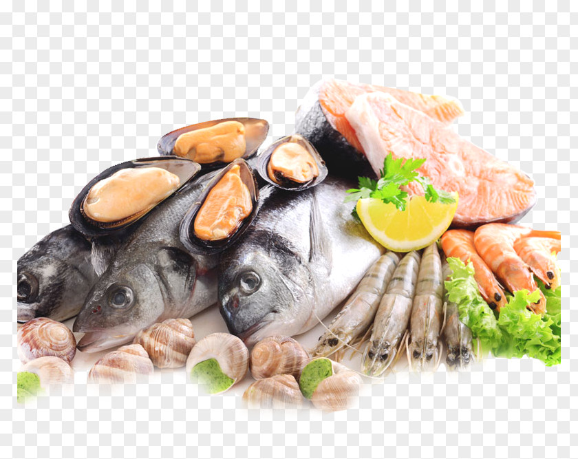 Fish And Seafood Products In Kind Clam Sashimi As Food Frozen PNG