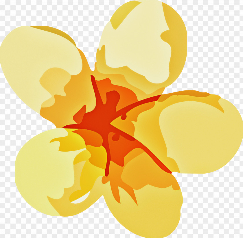 Insect Leaf Yellow Petal Commodity PNG