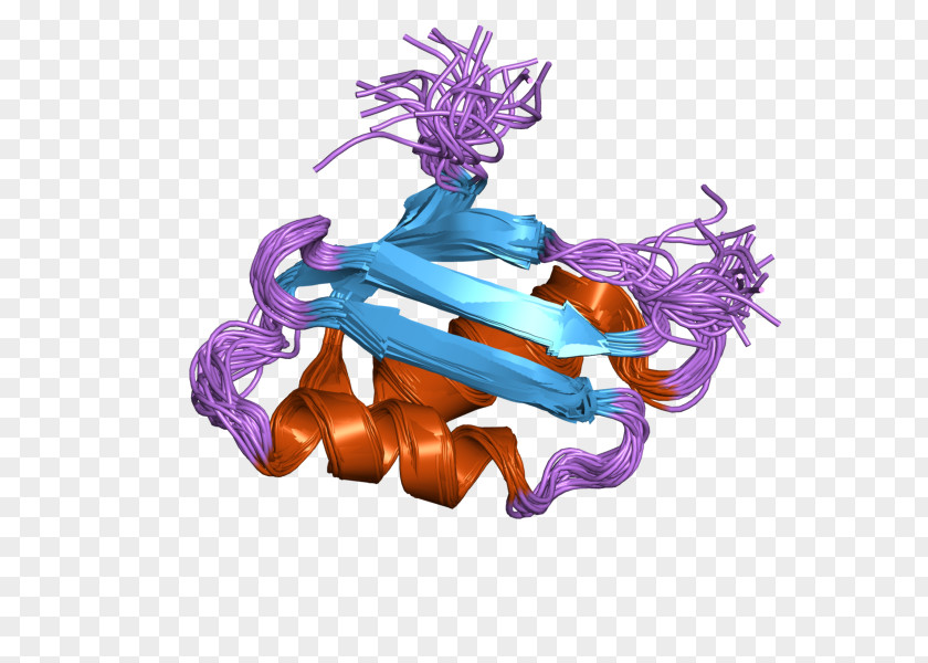 ATP7A Menkes Disease ATP Hydrolysis P-type ATPase PNG