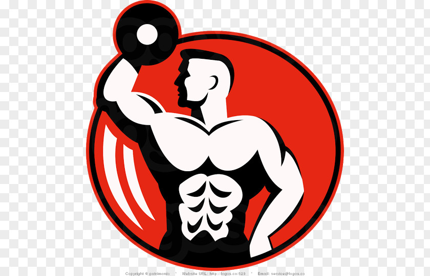 Bodybuilding Vector Graphics Fitness Centre Clip Art Logo PNG