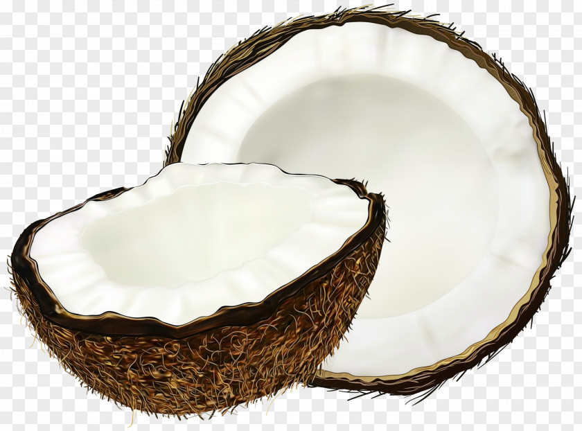 Clip Art Coconut Water Milk Image PNG