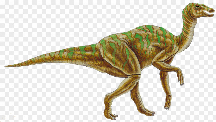 Cretaceous Dinosaur Hadrosaurus Kritosaurus Gryposaurus Academy Of Natural Sciences Drexel University PNG