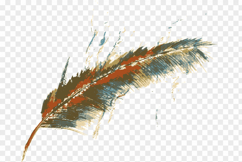 Insect Feather Birthday Cartoon PNG