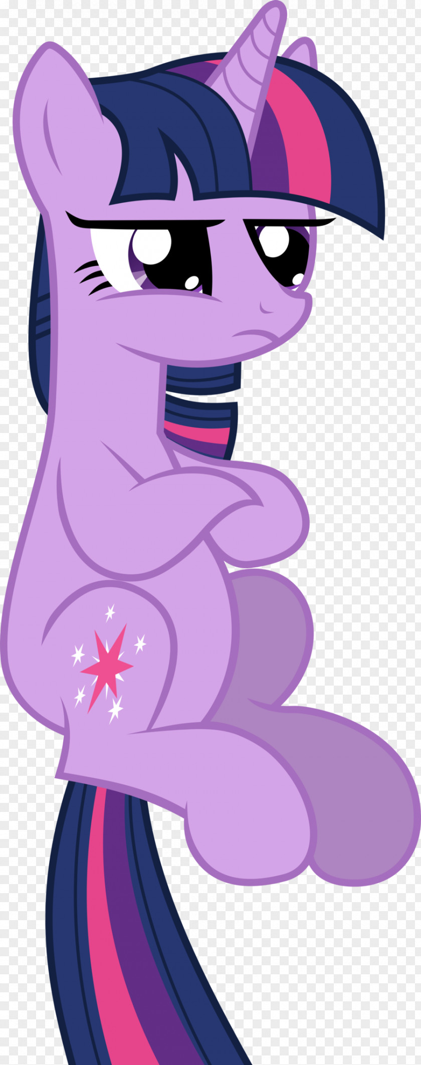 My Little Pony Twilight Sparkle DeviantArt PNG