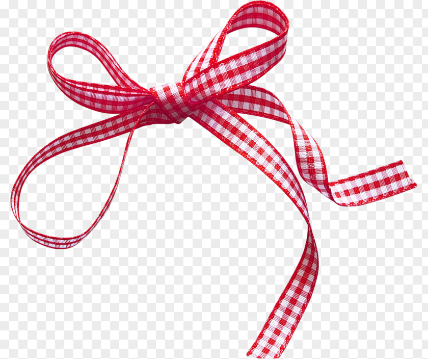 Ribbon Shoelaces Shoelace Knot PNG