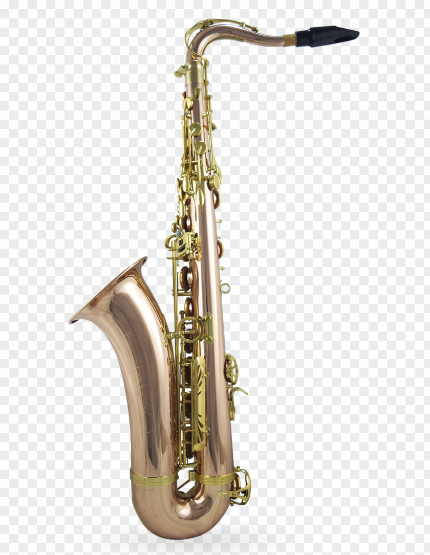 Tenor Saxophone Baritone Clarinet Family Brass Mellophone PNG