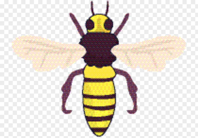 Animal Figure Hoverfly Bee Cartoon PNG