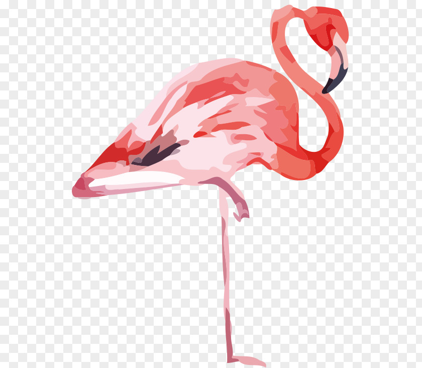 Flamingo Watercolor Painting Drawing Printmaking PNG