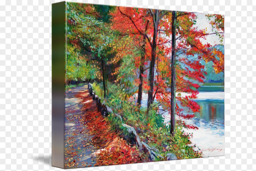 Painting Gallery Wrap Acrylic Paint Art Rockefeller State Park Preserve PNG