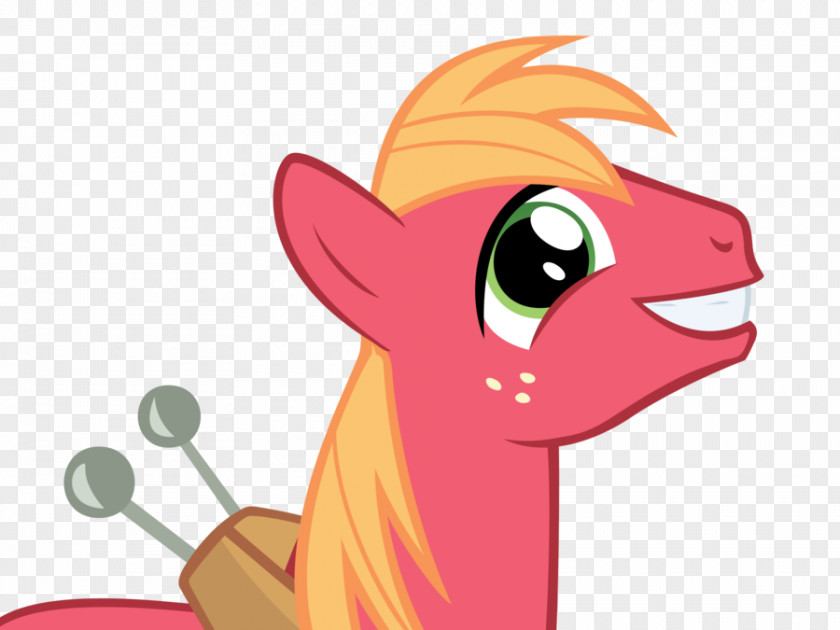 Smarty Cat McDonald's Big Mac McIntosh Hamburger My Little Pony: Friendship Is Magic Fandom PNG