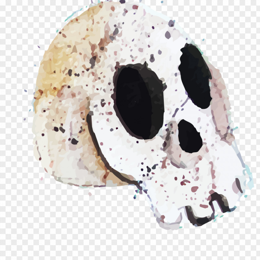 Vector People Bones Calavera Halloween Skull Euclidean PNG