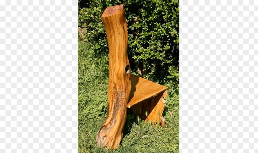 Kirschbaum Trunk Tree Stump Garden Furniture PNG