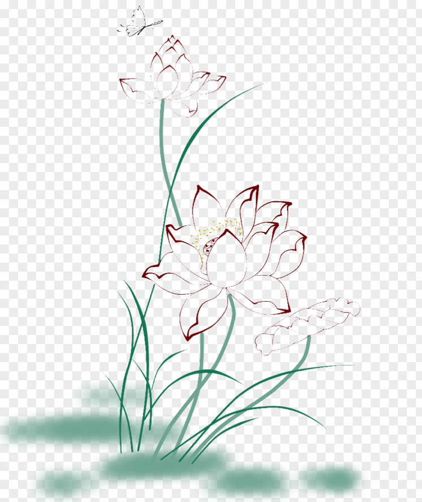 Lotus Image Clip Art Line Drawing Design PNG