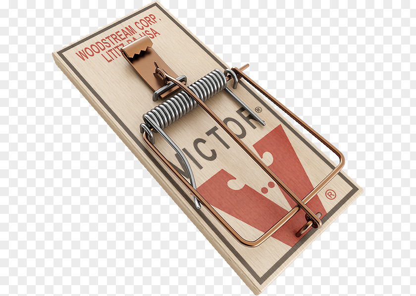 Mouse Trap The Mousetrap Trapping PNG