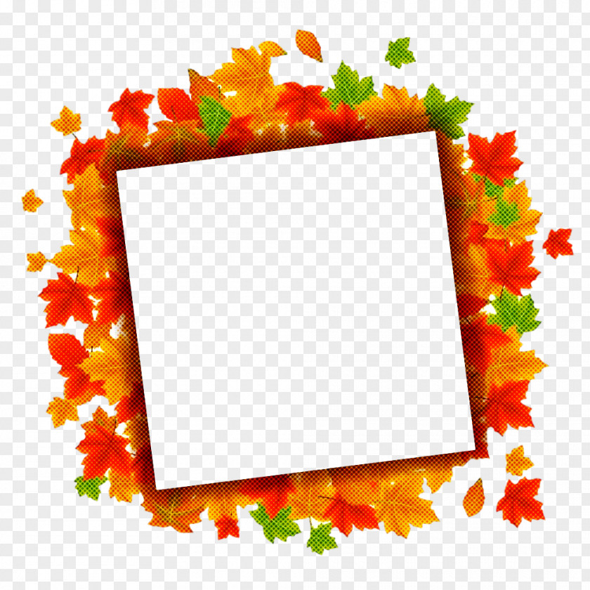 Picture Frame PNG