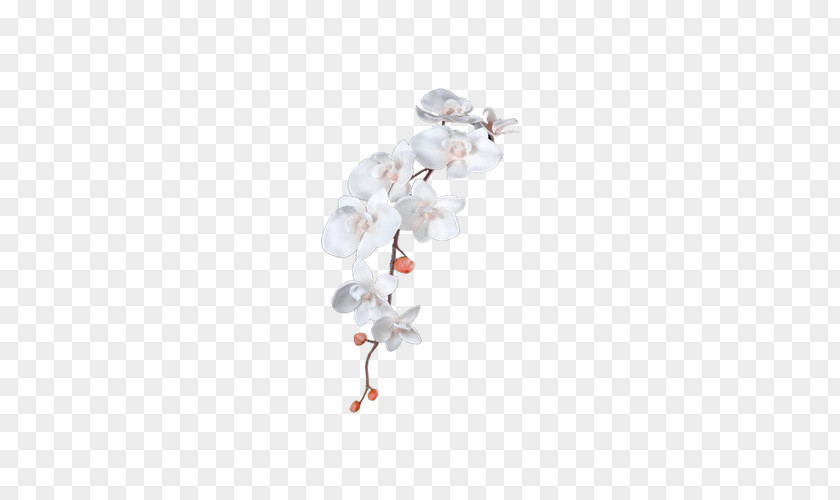 White Pear Decorative Branches Flower Leaf PNG