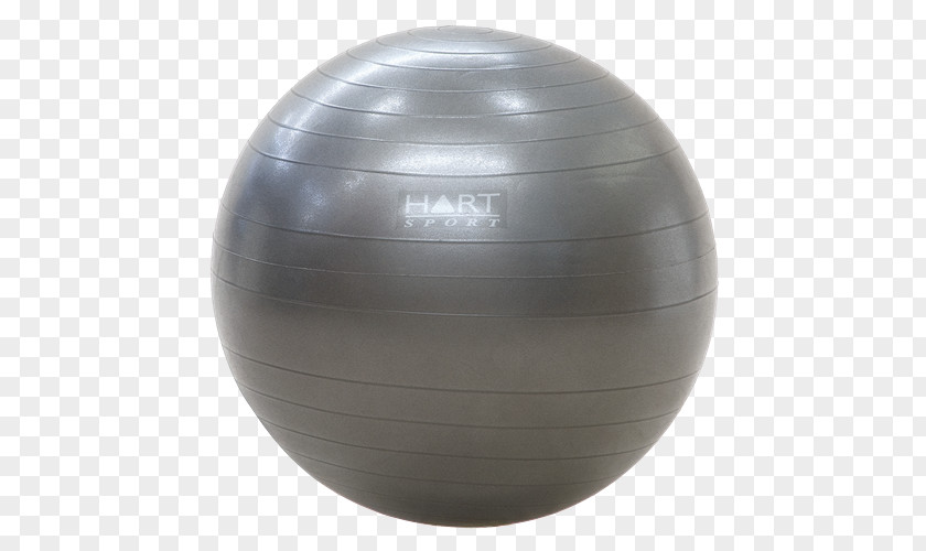 Yoga Ball Exercise Balls Fitness Centre Medicine PNG