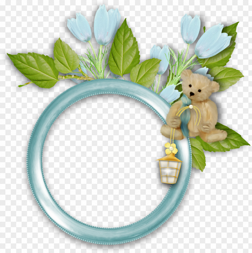 Bear Frame Material Picture Digital Photo Photography PNG