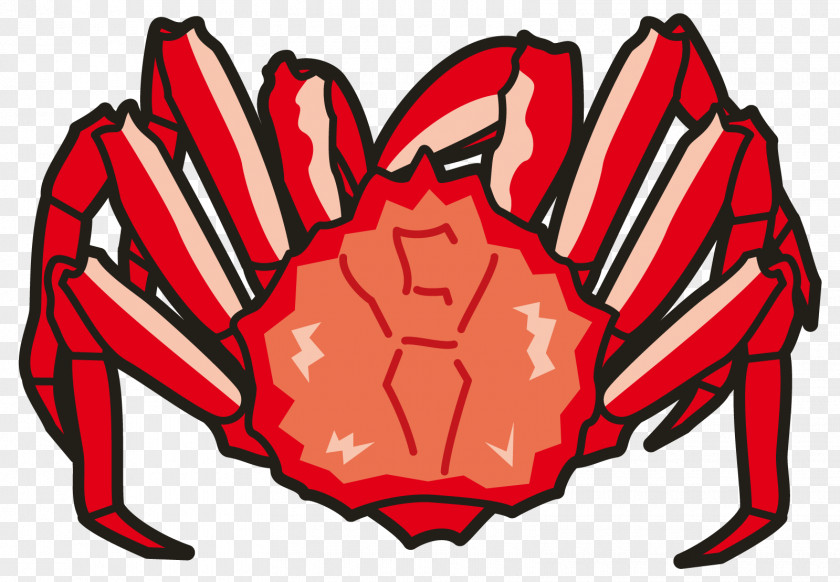 Crab Dungeness Red King Clip Art PNG