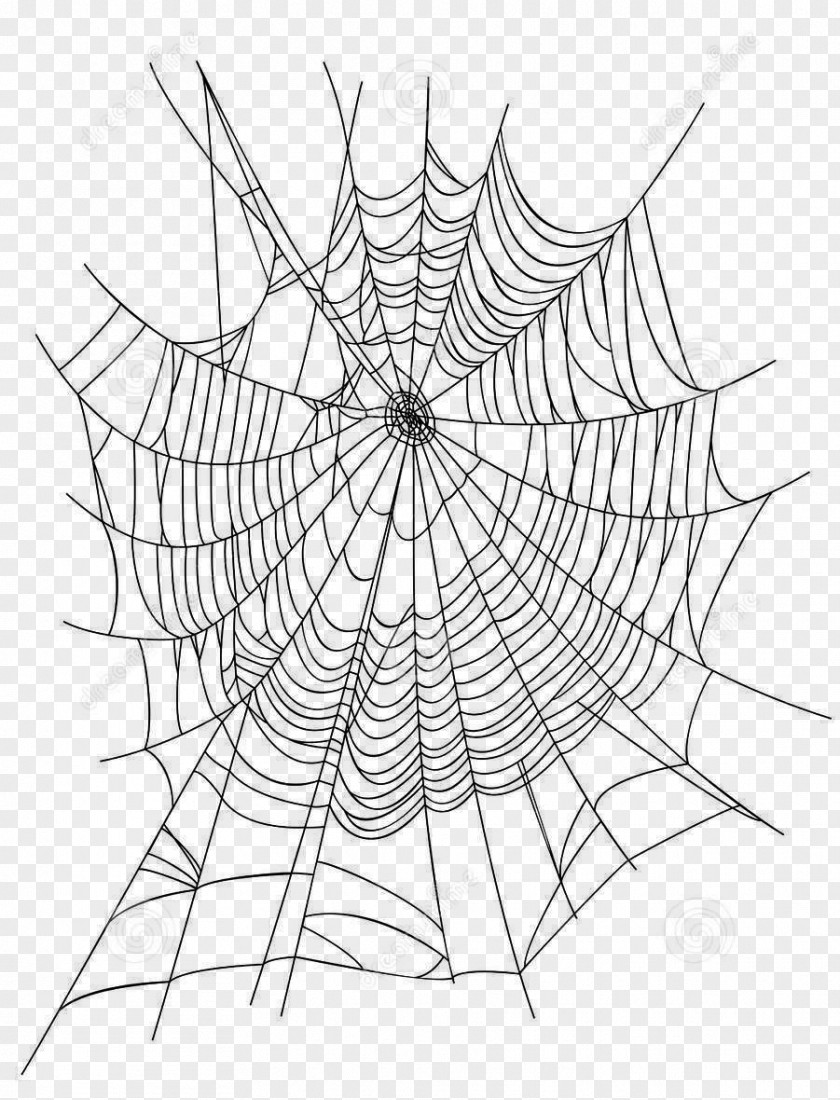 Creative Cartoon Spider Web Icon Euclidean Vector Illustration PNG