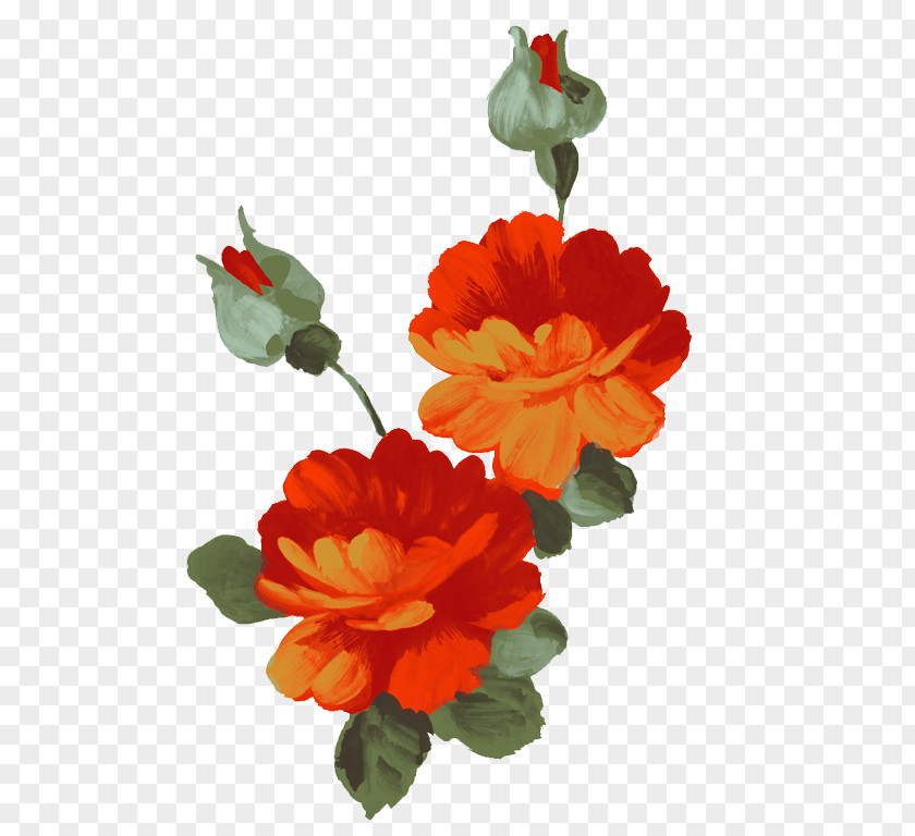Illustration Flower PNG