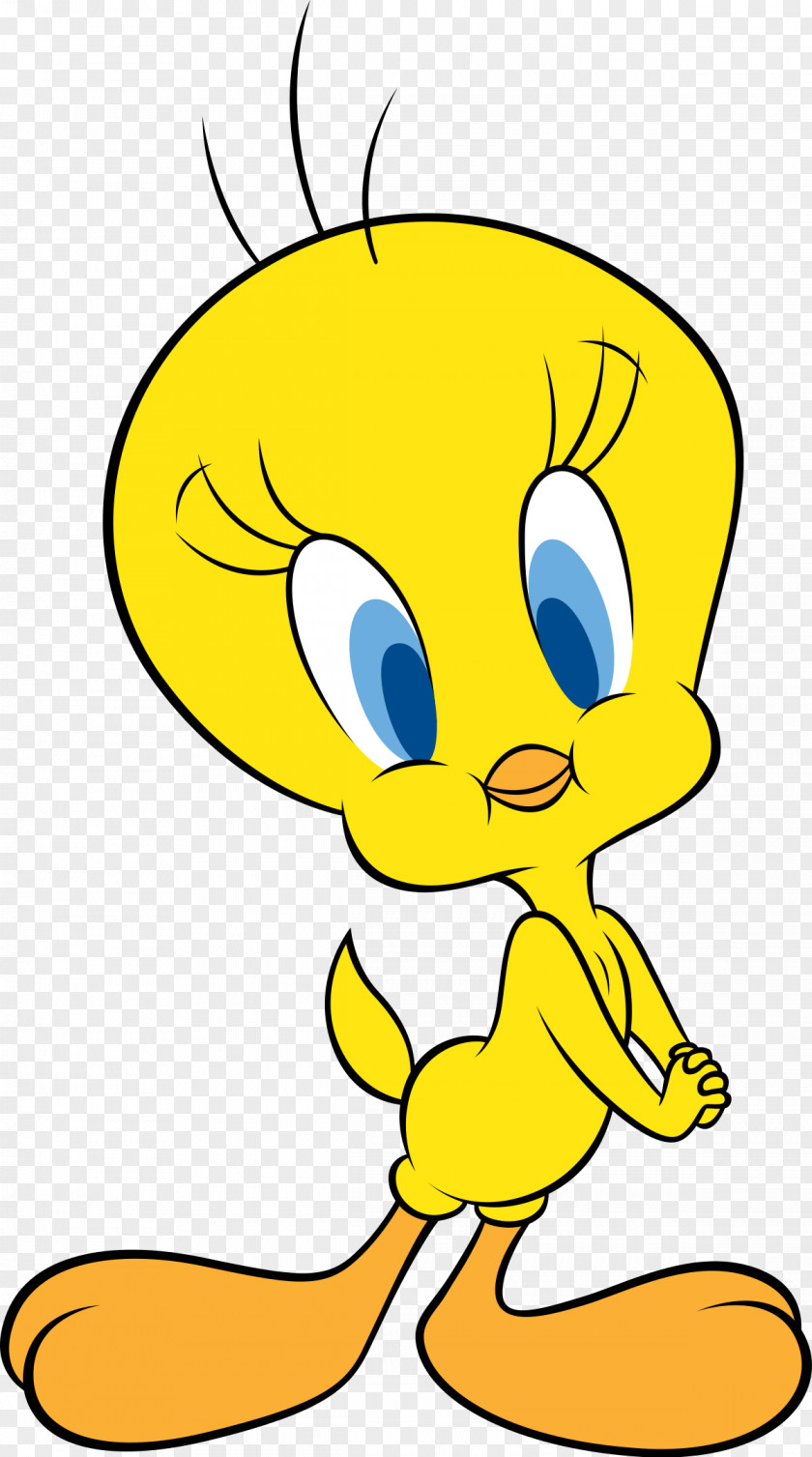 Jerry Can Tweety Sylvester Looney Tunes Elmer Fudd Cartoon PNG