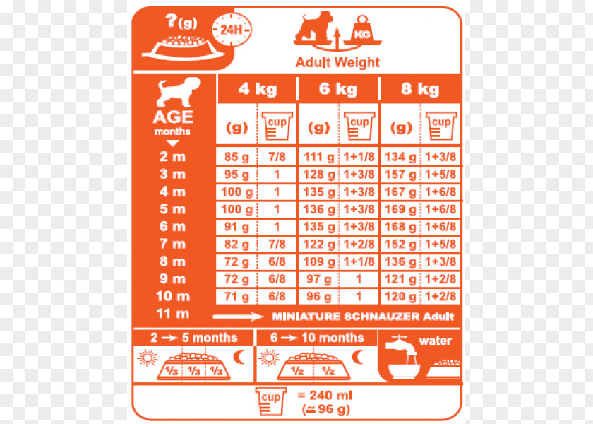 Miniature Schnauzer German Shepherd Cavalier King Charles Spaniel Chihuahua French Bulldog PNG