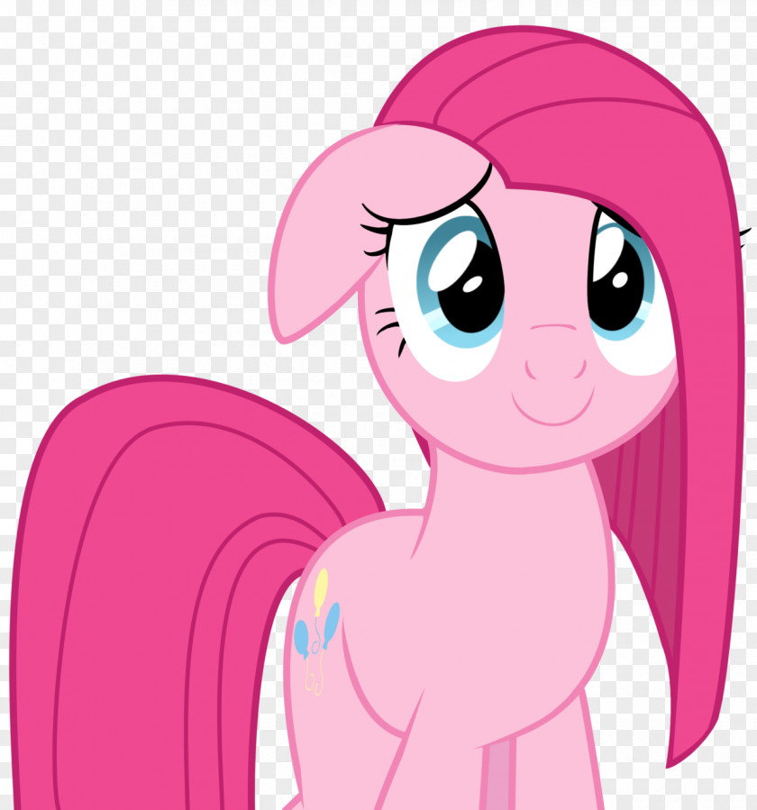 My Little Pony Friendship Is Magic Season 5 Pinkie Pie Rainbow Dash Ekvestrio Horse PNG