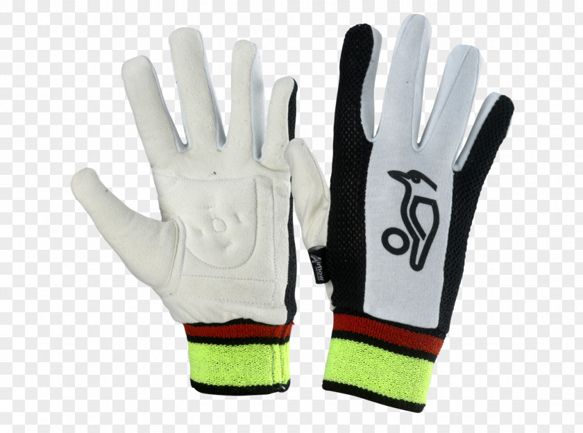 Padded Wicket-keeper's Gloves England Cricket Team Amazon.com PNG