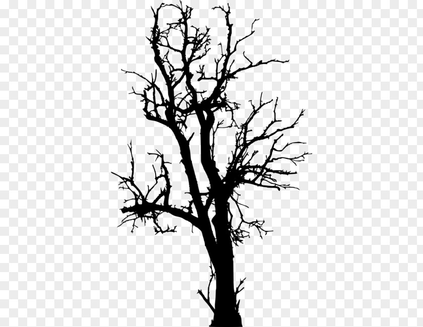 Tree Of Life Drawing Monochrome Photography Clip Art Silhouette Image PNG