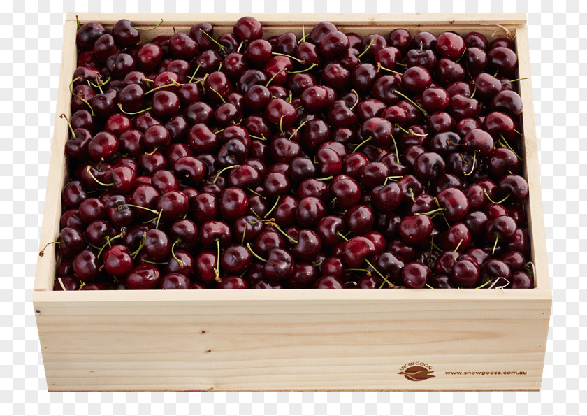 Cherry Ferrero Rocher Cranberry SpA Belgian Cuisine PNG