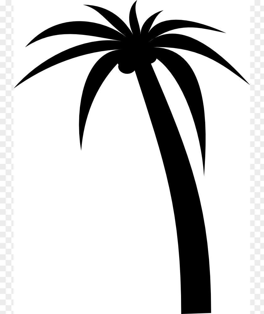 Coconut Tree Clipart Arecaceae Drawing Clip Art PNG