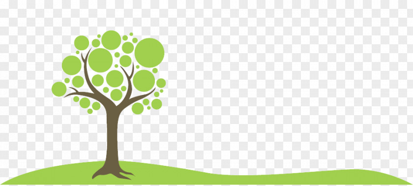 Footer Clipart Trees Trail Challenge Page Header Branch PNG