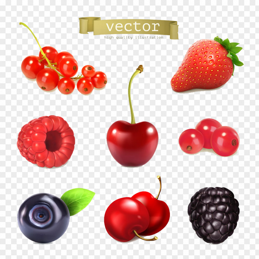 Fresh Berries Cartoon Pictures Juice Frutti Di Bosco Cherry Strawberry PNG