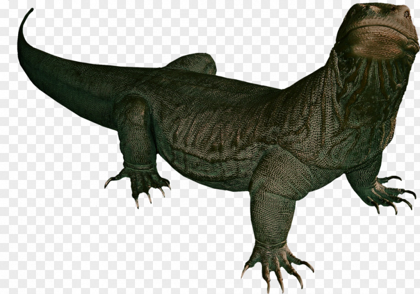 Komodo Dragon Transparent Images Lizard Central Bearded Reptile Clip Art PNG