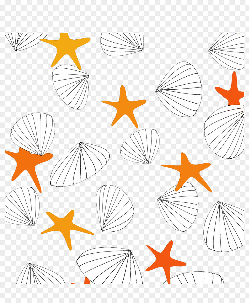 Shell Background Car Material Paint Color Adhesive PNG