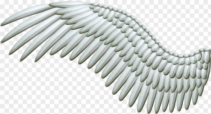 Angel Wing Transparent Clip Art Transparency Image PNG
