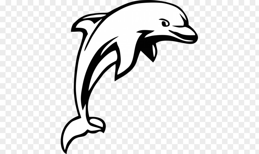 Dolphin Drawing Line Art Clip PNG