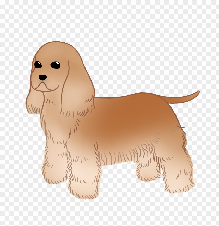 Puppy Cockapoo Rare Breed (dog) Dog Spaniel PNG