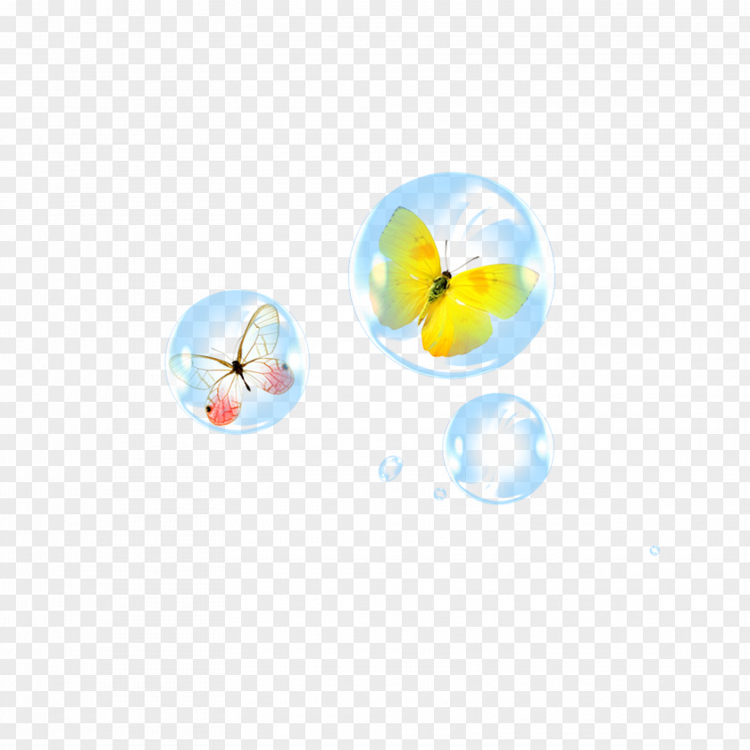 Bubble Butterfly PNG