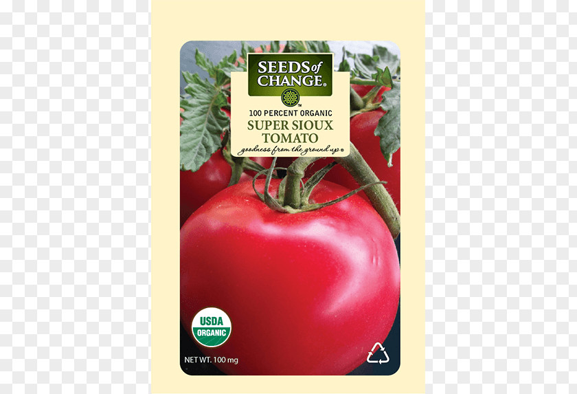 Organic Fruit And Vegetable Food Certification Tomato Seed PNG