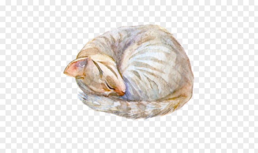 Sleeping Kitten Cat Cartoon Watercolor Painting PNG
