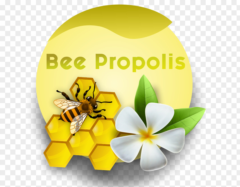 Bee Propolis Honey Desktop Wallpaper Flowering Plant PNG