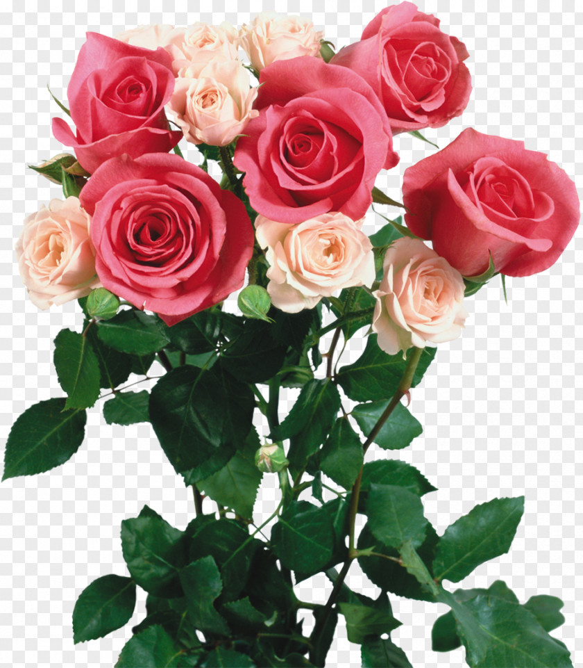 Bouquet Of Flowers Garden Roses Flower Clip Art PNG
