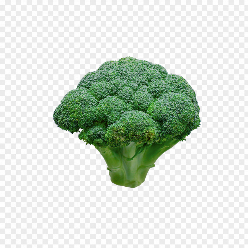 Broccoli Cauliflower Vegetable Food PNG