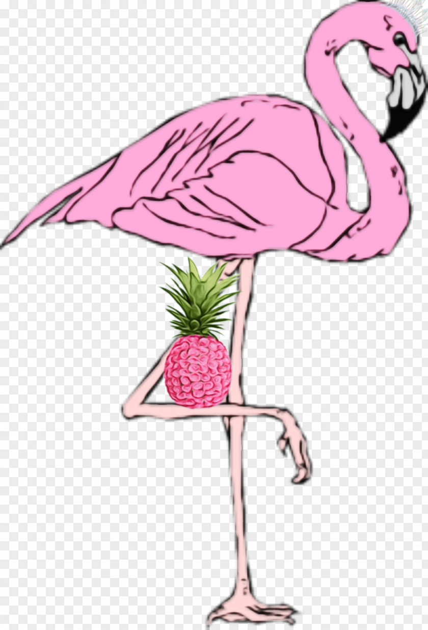 Muscle Beak Flamingo Silhouette PNG