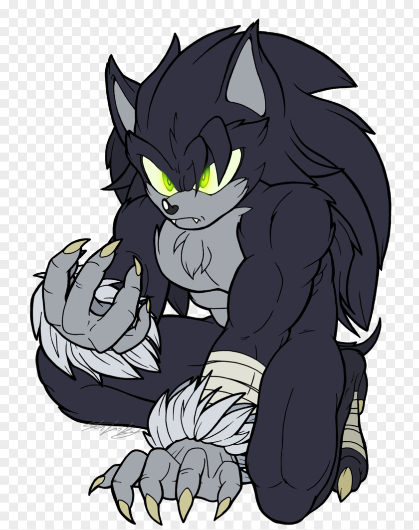 Sonic Unleashed The Hedgehog Werewolf Whiskers Shadow PNG